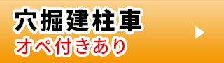 穴掘建柱車